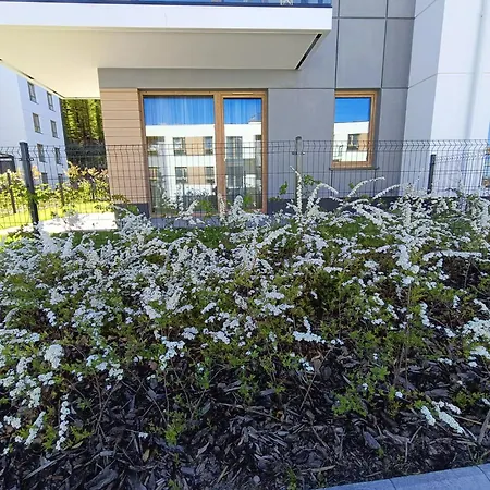 Widokowy Apartament Z Garazem W Rumi - Blisko Gdynia