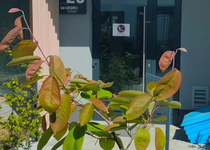 Widokowy Z Garazem W Rumi - Blisko Gdynia * روميا